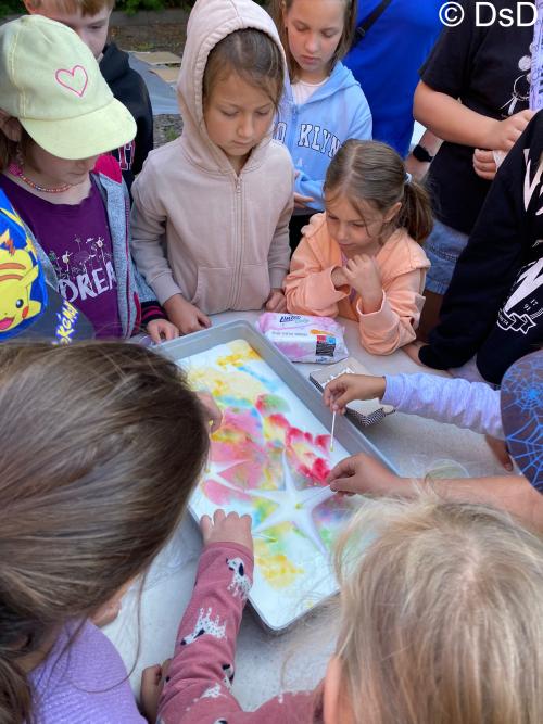 Příměstský tábor Drachtinka 2025